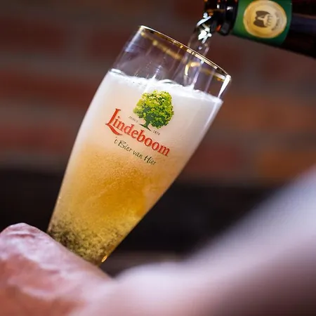 De Lindehoeve Hotel 3*