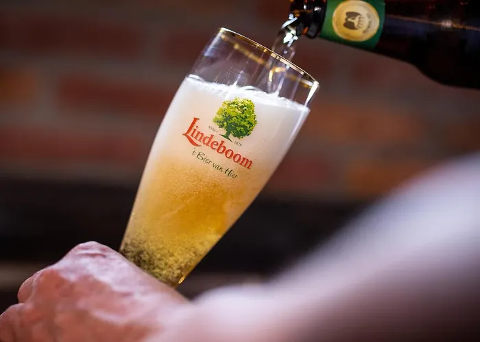 De Lindehoeve Hotel 3*